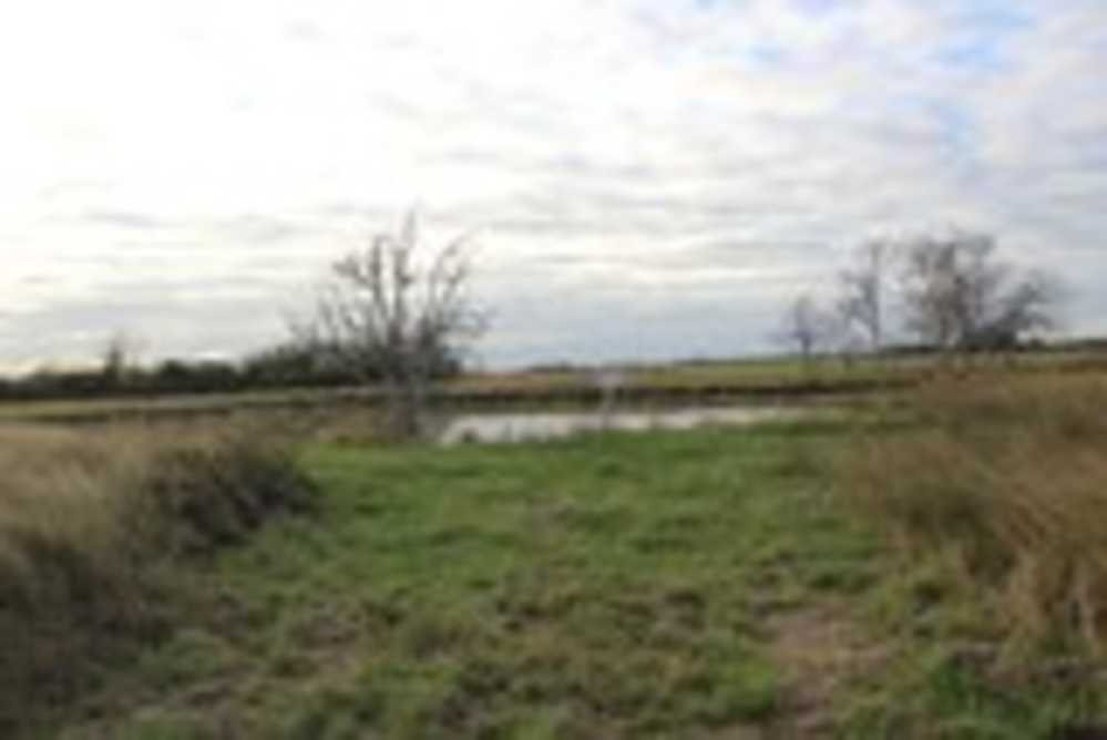 Dolphin Cove – 3 Acres +/- RV Park & Coastal Getaway (Palacios, TX)-img-6