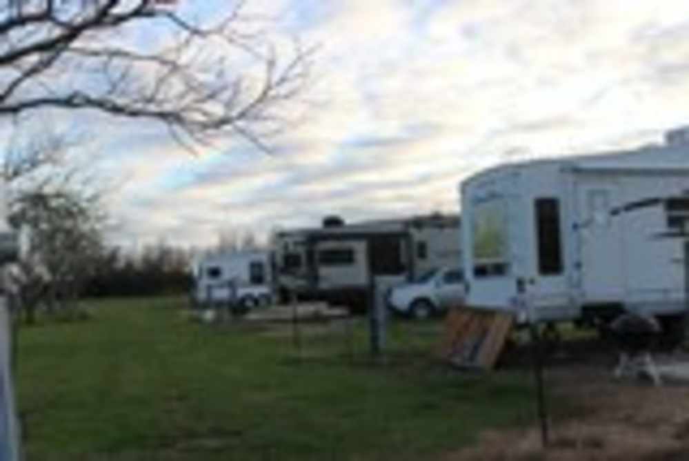 Dolphin Cove – 3 Acres +/- RV Park & Coastal Getaway (Palacios, TX)-img-5