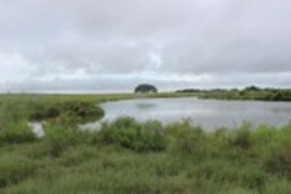 Dolphin Cove – 3 Acres +/- RV Park & Coastal Getaway (Palacios, TX)-img-15