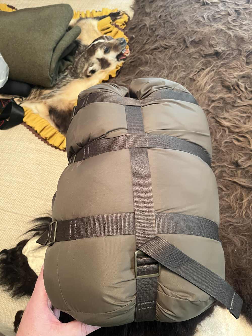 Eberlestock Reville Sleeping Bag (Long) Dark Earth-img-4