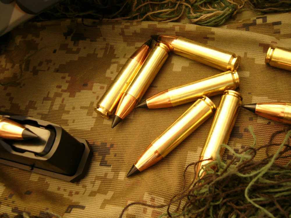 GUNWERKS MAGNUS .450 BUSHMASTER LEUPOLD MARK 5 REVIC RETICLE 450 BUSHMASHER-img-16