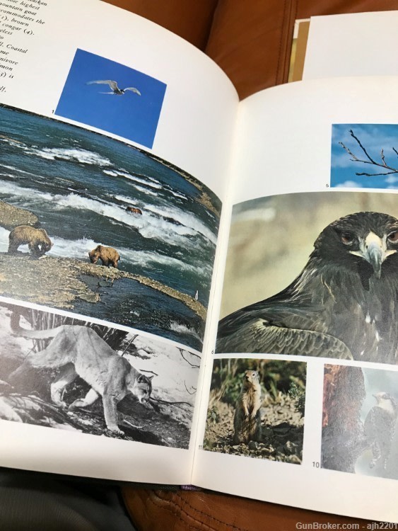  Two nice Hunting Books-img-4