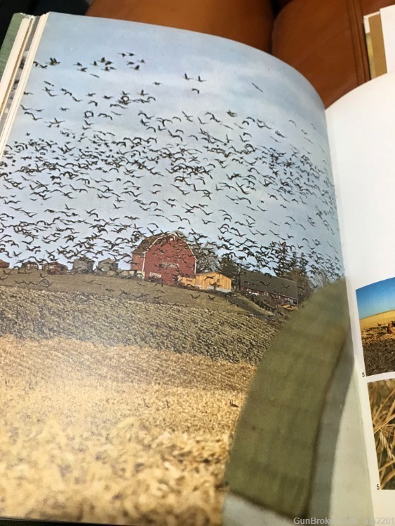  Two nice Hunting Books-img-5