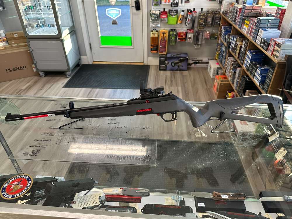 Winchester Wildcat Combo .22 LR-img-7