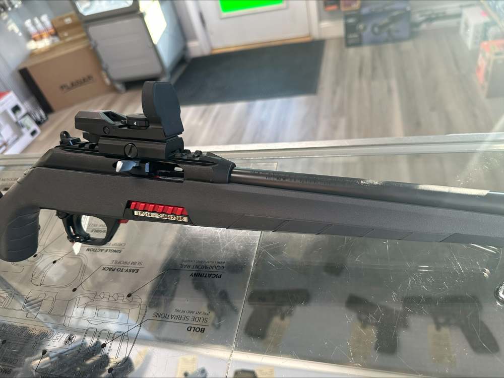 Winchester Wildcat Combo .22 LR-img-2