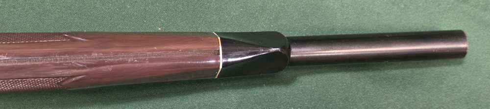 Remington Nylon 66 .22LR-img-17