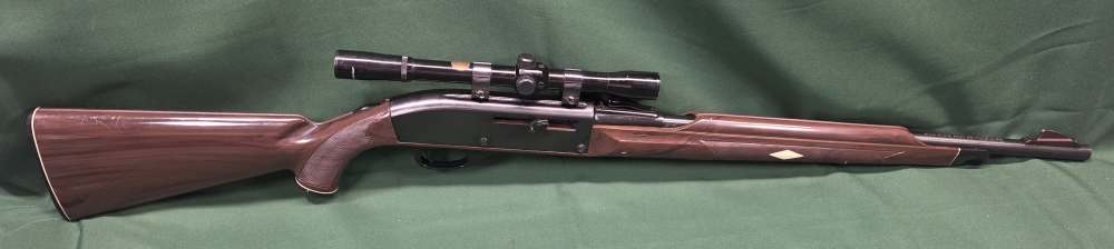 Remington Nylon 66 .22LR-img-1