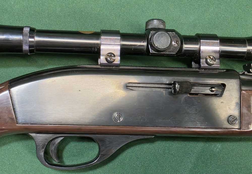 Remington Nylon 66 .22LR-img-11