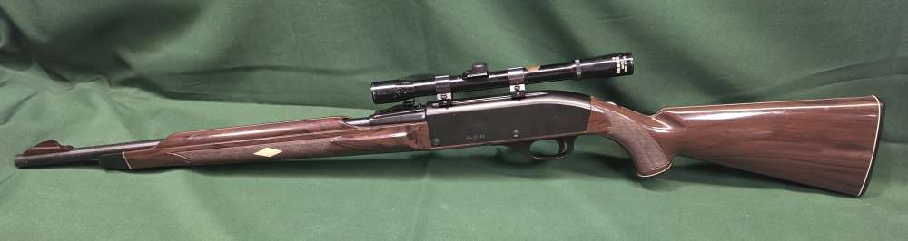 Remington Nylon 66 .22LR-img-7