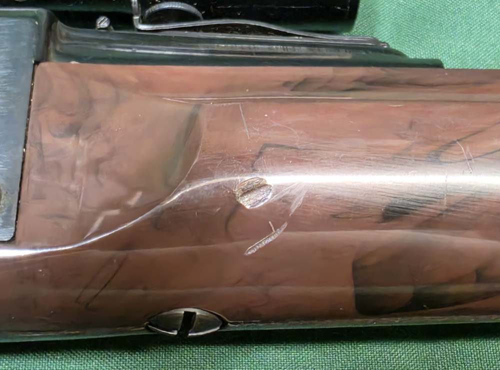 Remington Nylon 66 .22LR-img-19