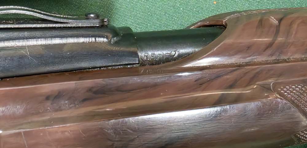 Remington Nylon 66 .22LR-img-15