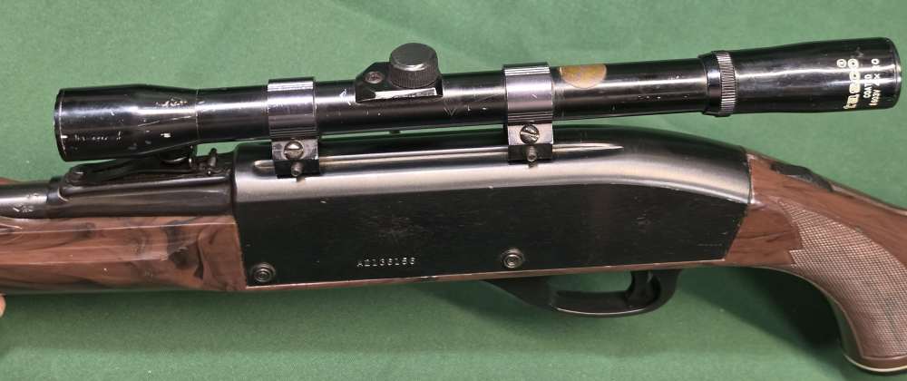 Remington Nylon 66 .22LR-img-18