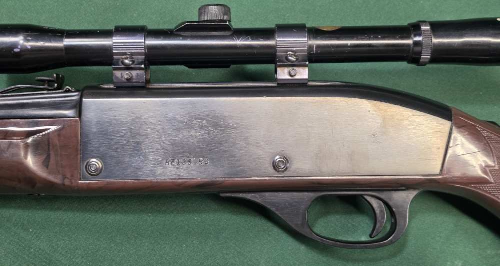 Remington Nylon 66 .22LR-img-5