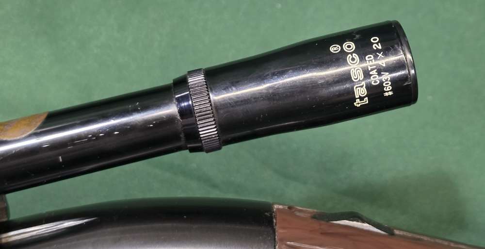 Remington Nylon 66 .22LR-img-13