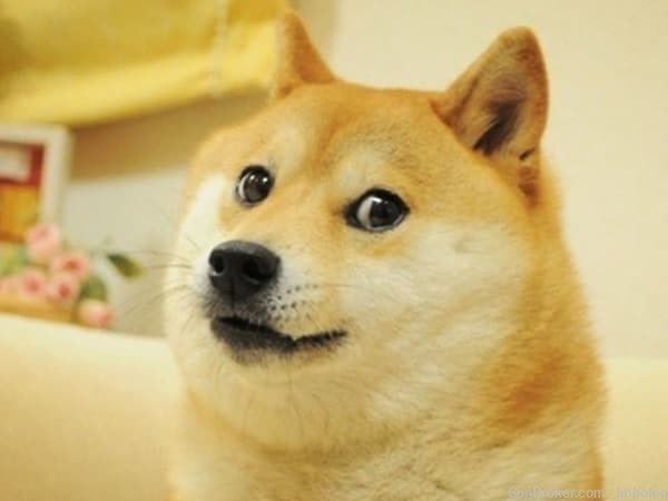 Dogecoin Commemorative Coin -img-3