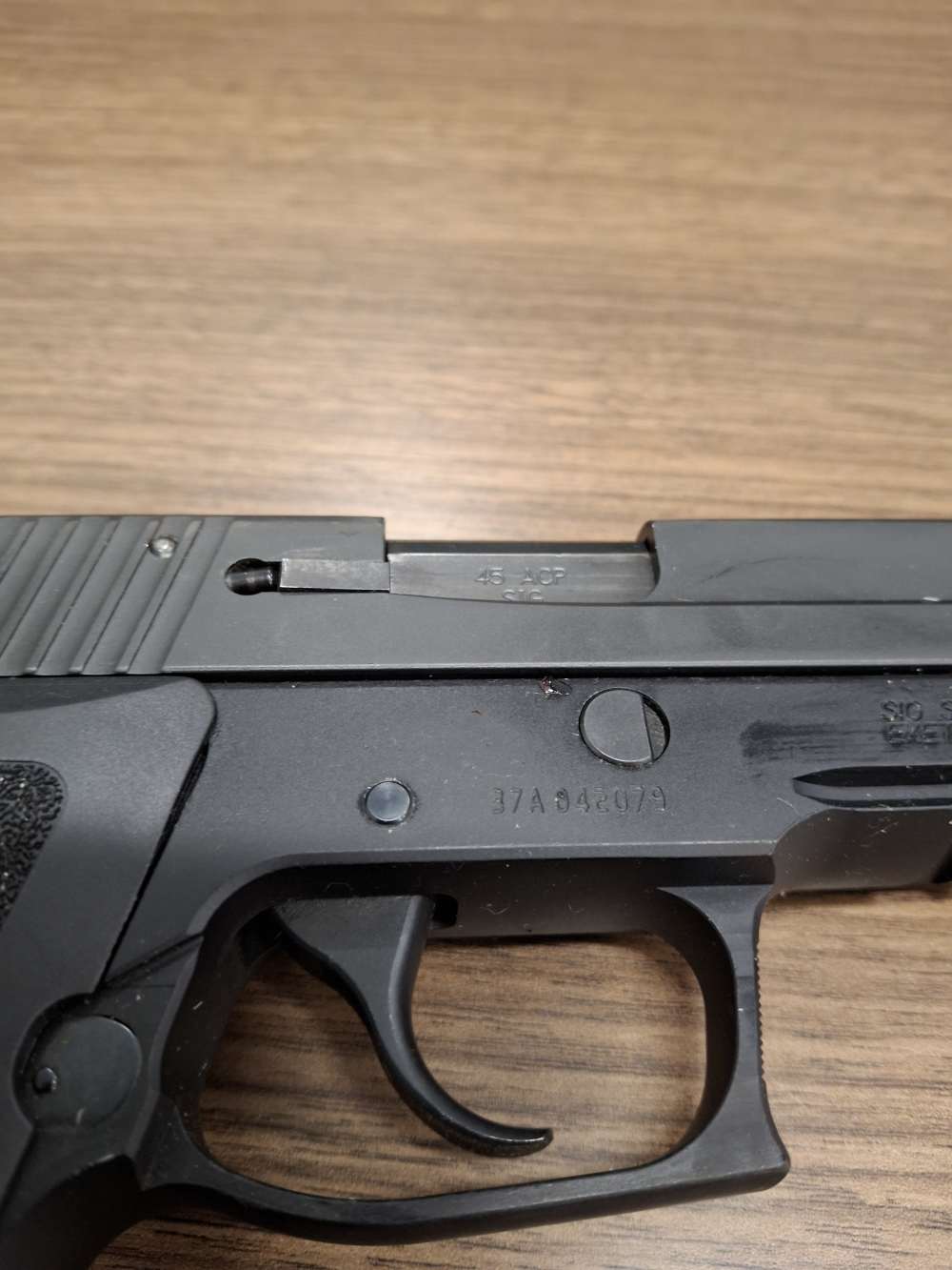 SIG Sauer P220 .45 ACP SIGLite Sights-img-13