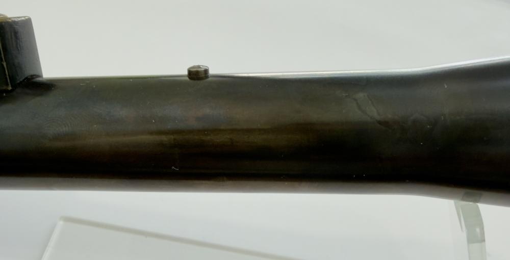 C. Reichert Wien Scope-img-11