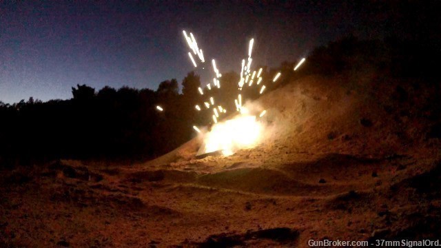 50ct 22LR Super Incendiary Spotter AMMO .22cal FOR EFFECT!-img-2
