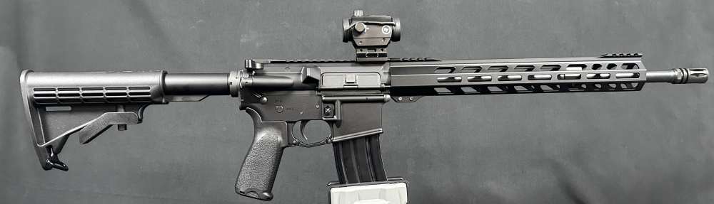 Custom AR15 PSA / Ballistic Advantage-img-1