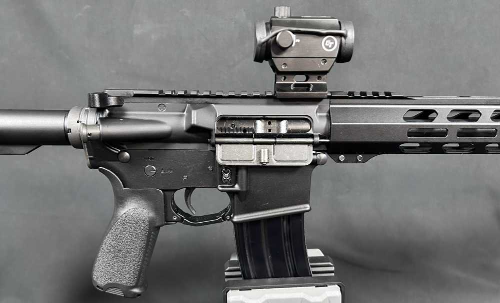 Custom AR15 PSA / Ballistic Advantage-img-3
