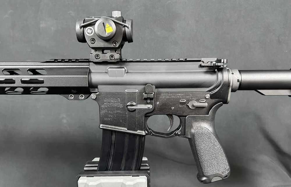Custom AR15 PSA / Ballistic Advantage-img-4