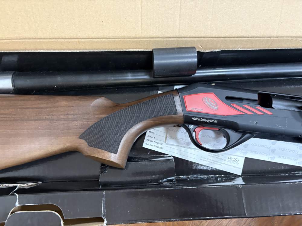 POINTER SPORT TEK 8 12GA SEMI-AUTO 30" BLUED WALNUT-img-2
