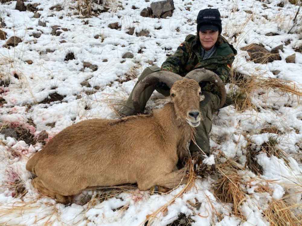 PROOF ELEVATION FDX PXT 153956 LEUPOLD GUNWERKS RETICLE 7 PRC 1200 YARDS -img-46