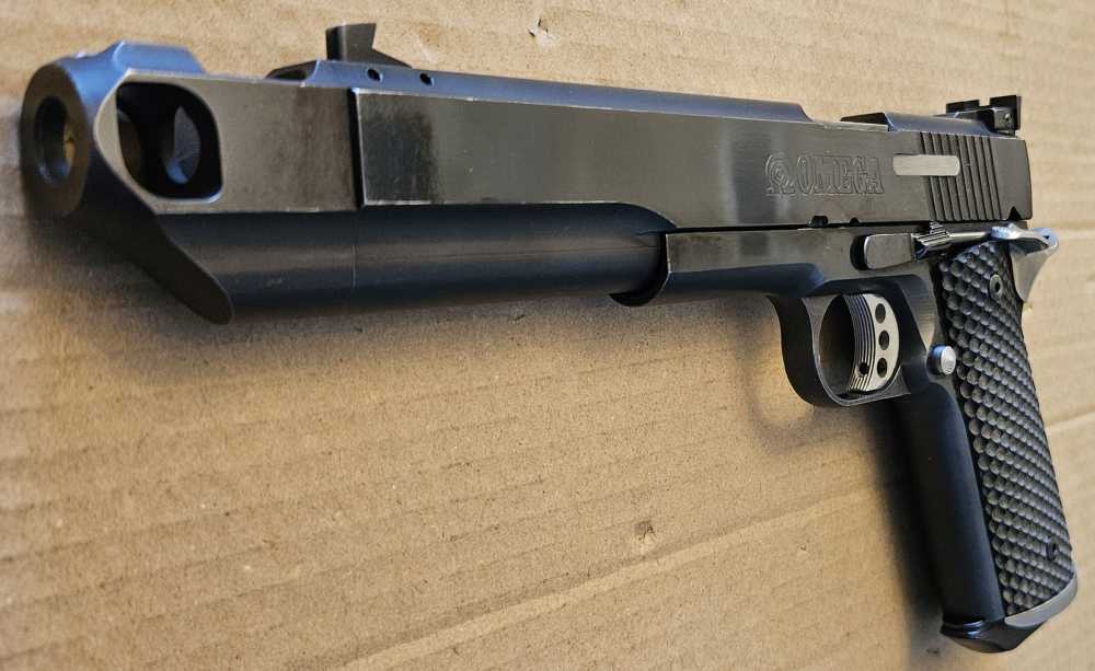 Springfield Omega LAYAWAY 10mm 1911 Project-img-1