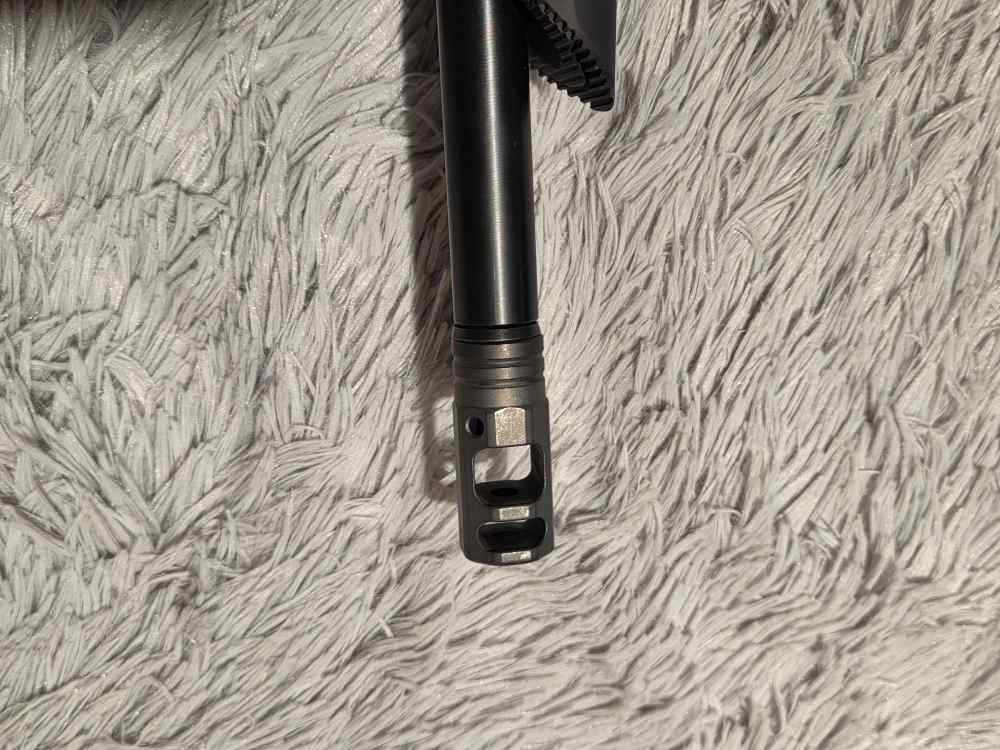 Springfield Saint Edge ATC *NEW* 223 Wylde-img-13
