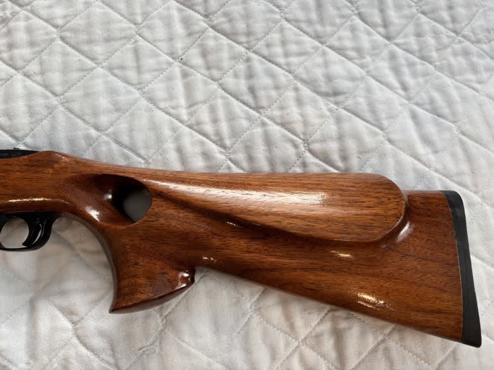 Custom 10/22 Ruger Rifle-img-4