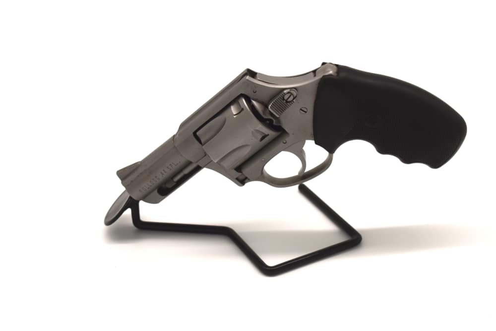Charter Arms Bulldog-img-6