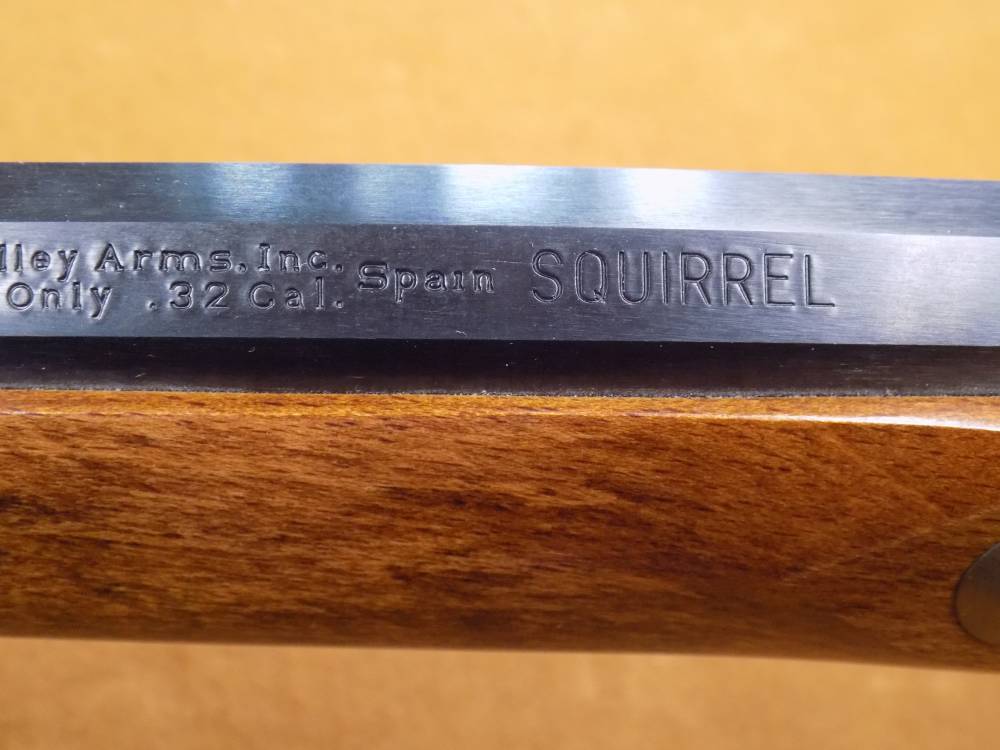 Connecticut Valley Arms, CVA Squirrel Model .32 Cal, Muzzle loader 24" BBL-img-21