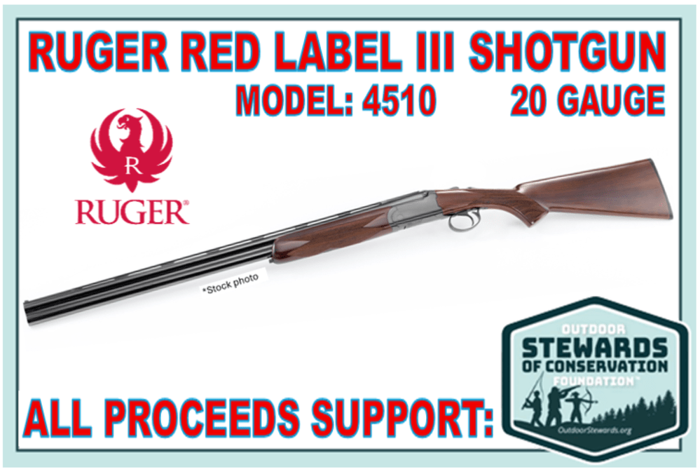 Ruger Red Label III Model 4510 O/U 20 Gauge Shotgun for Conservation-img-6