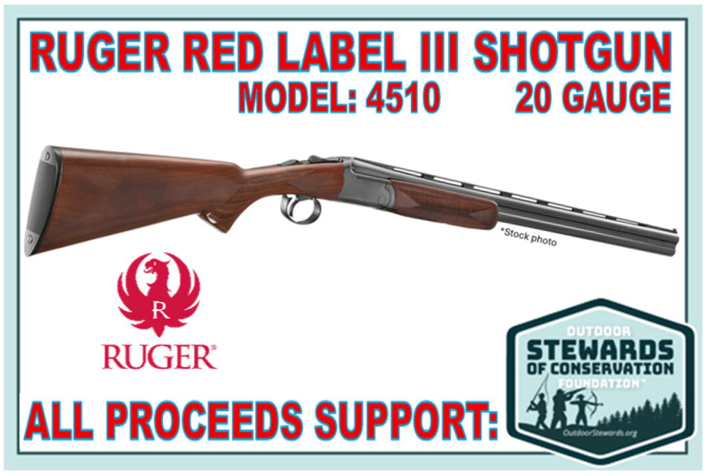Ruger Red Label III Model 4510 O/U 20 Gauge Shotgun for Conservation-img-5