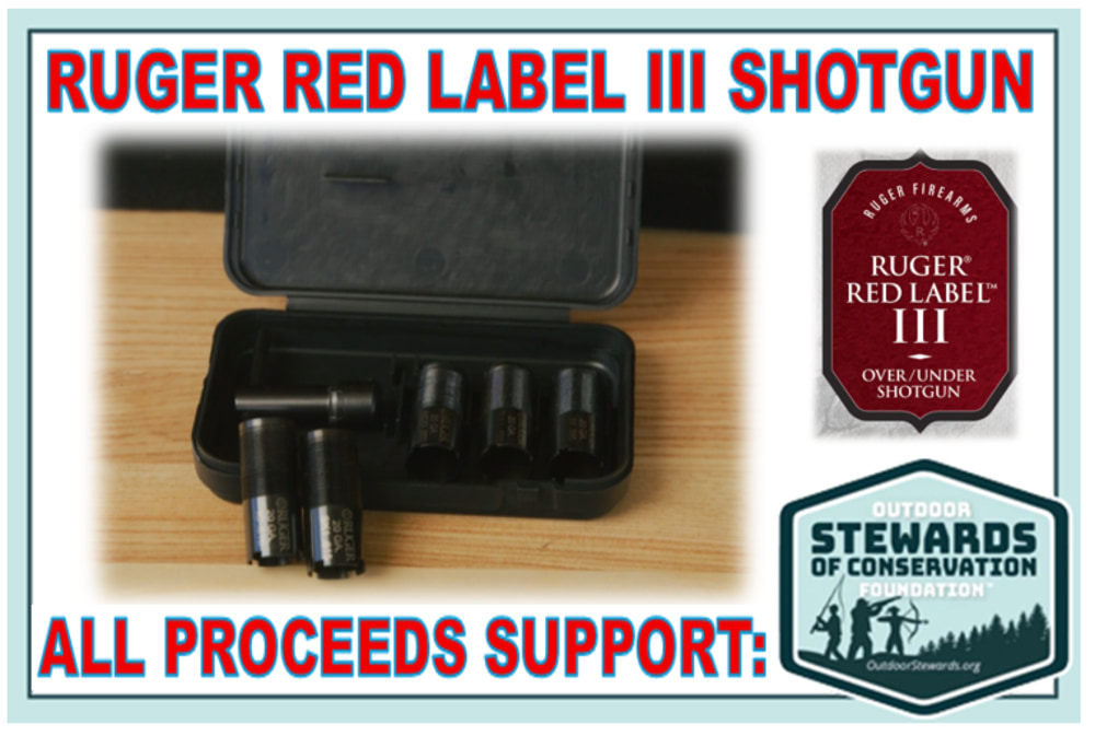 Ruger Red Label III Model 4510 O/U 20 Gauge Shotgun for Conservation-img-4