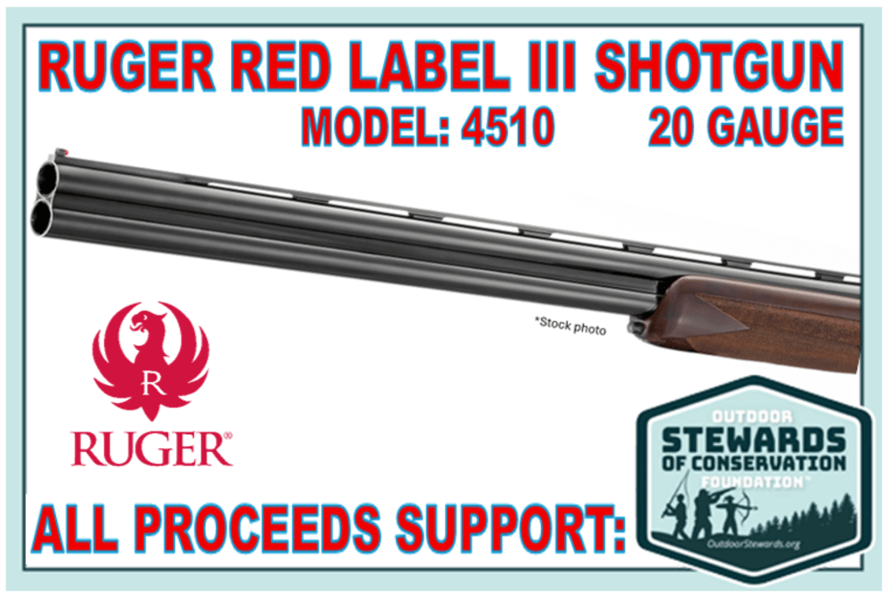 Ruger Red Label III Model 4510 O/U 20 Gauge Shotgun for Conservation-img-2