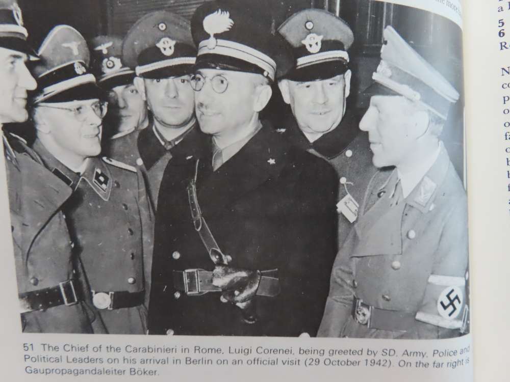 BADGES & INSIGNIA OF THE THIRD REICH 1933-1945 BY BRIAN LEIGH DAVIS-img-11