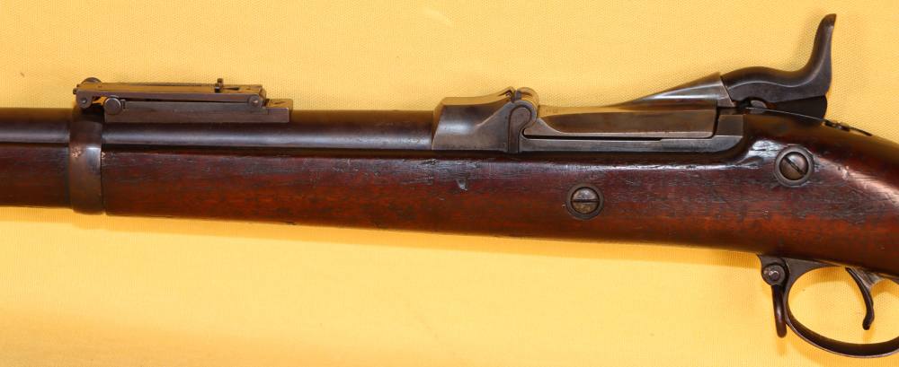 Springfield Model 1888 Ramrod Bayonet Rifle, 7th Inf Regt marked-img-18