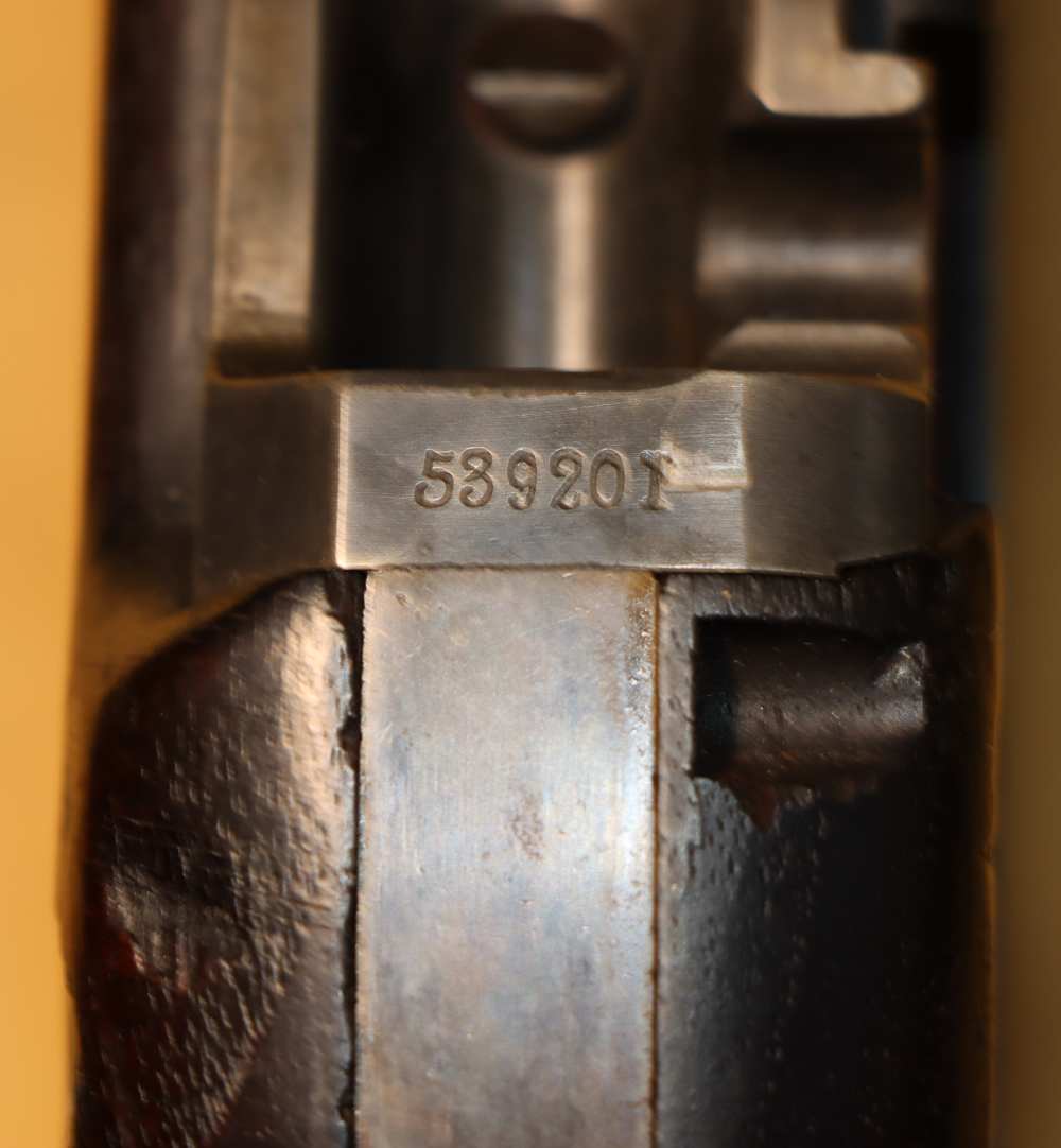 Springfield Model 1888 Ramrod Bayonet Rifle, 7th Inf Regt marked-img-61