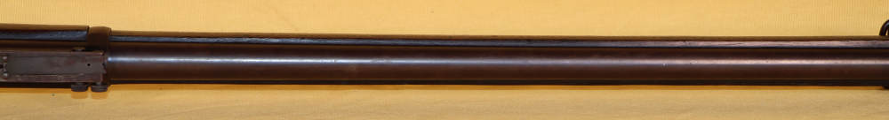 Springfield Model 1888 Ramrod Bayonet Rifle, 7th Inf Regt marked-img-1