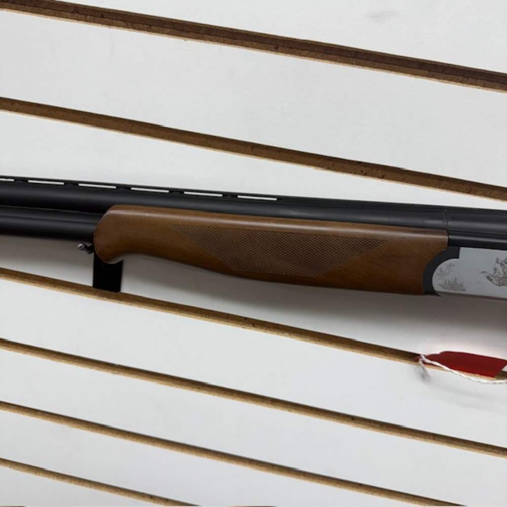 ESCORT OPTIMA 12 GAUGE -img-4