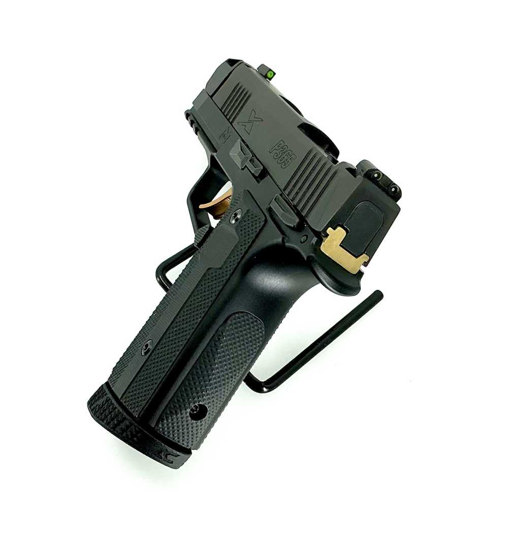 Sig Sauer P365 FCU build Radian Ramjet-img-1