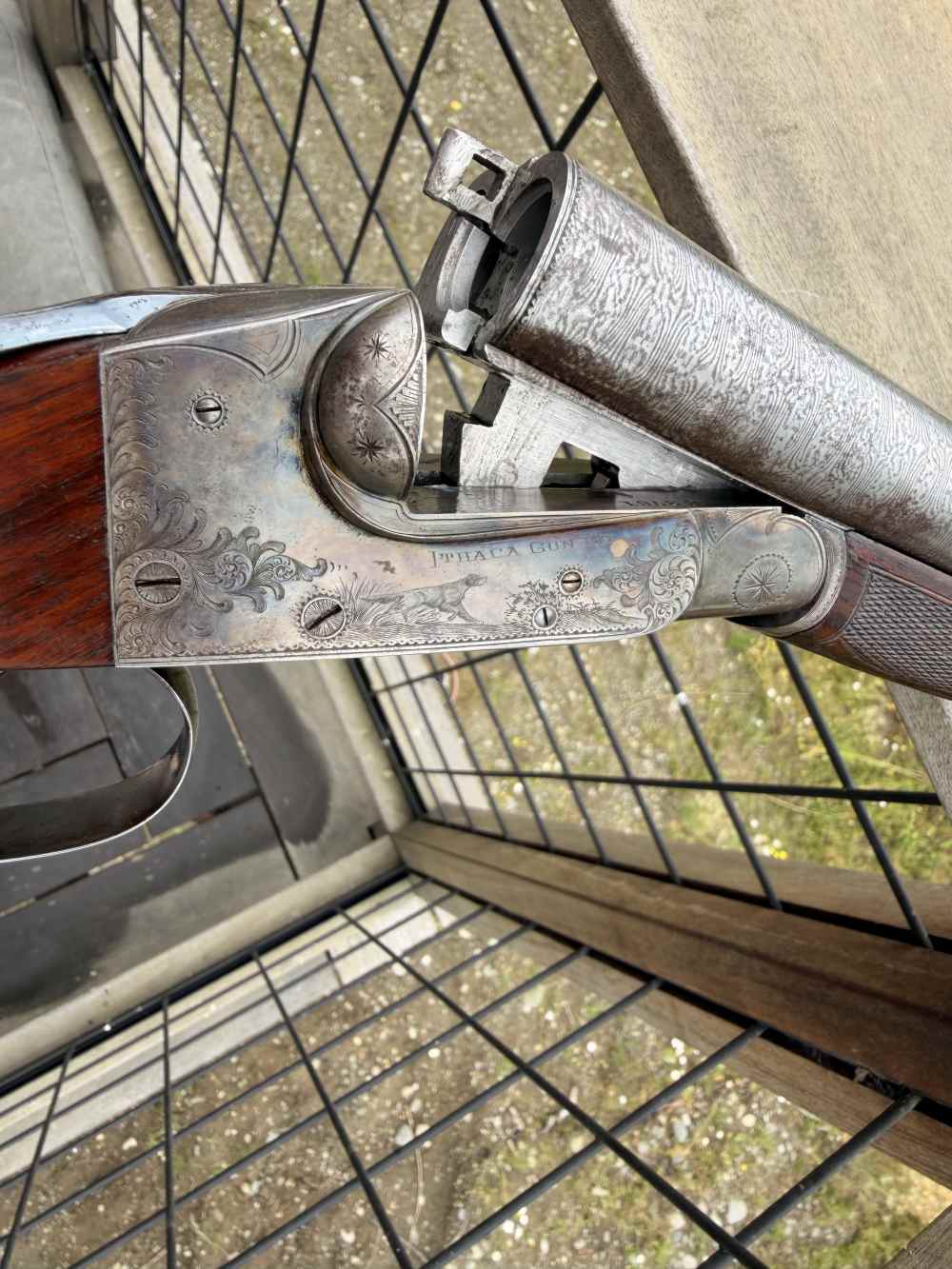 1902 Ithica Gun Co. Grade 3 Ejector, Auto Safety, Double Teigger, 16 Gauge-img-4
