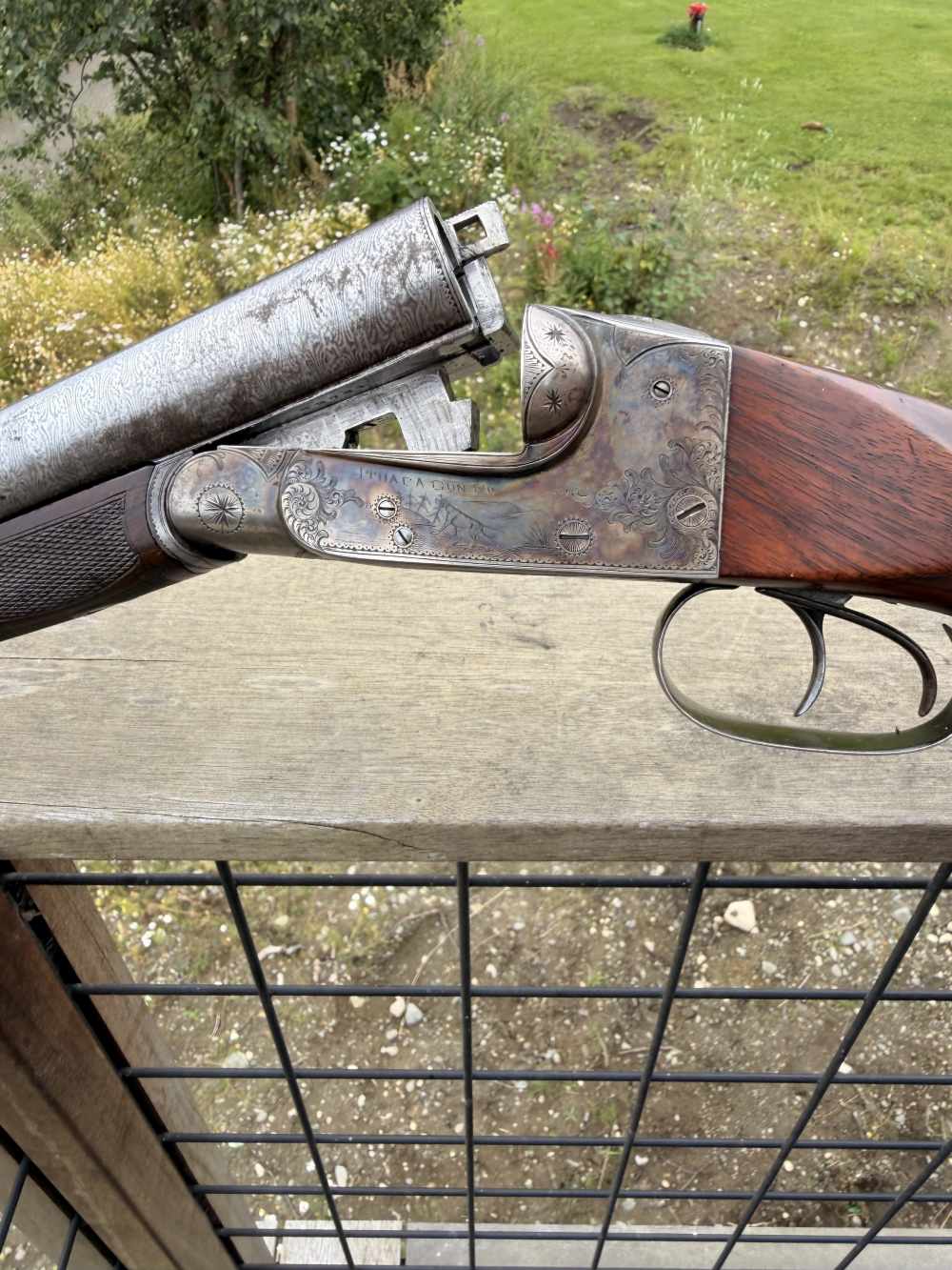 1902 Ithica Gun Co. Grade 3 Ejector, Auto Safety, Double Teigger, 16 Gauge-img-5
