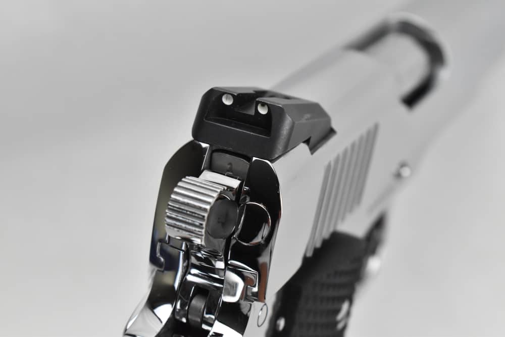  BRIGHT STAINLESS Colt Delta Elite 10mm Brand New in Factory Case-img-14