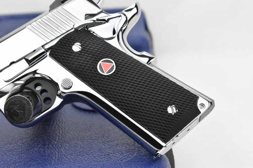  BRIGHT STAINLESS Colt Delta Elite 10mm Brand New in Factory Case-img-3