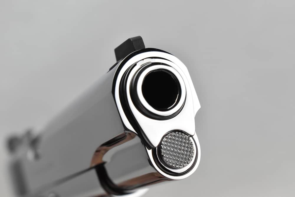  BRIGHT STAINLESS Colt Delta Elite 10mm Brand New in Factory Case-img-15