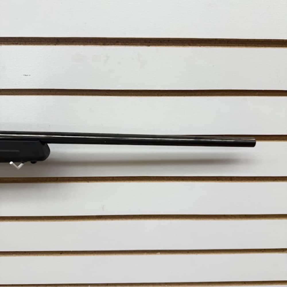 SAVAGE ARMS A17 17HMR -img-9