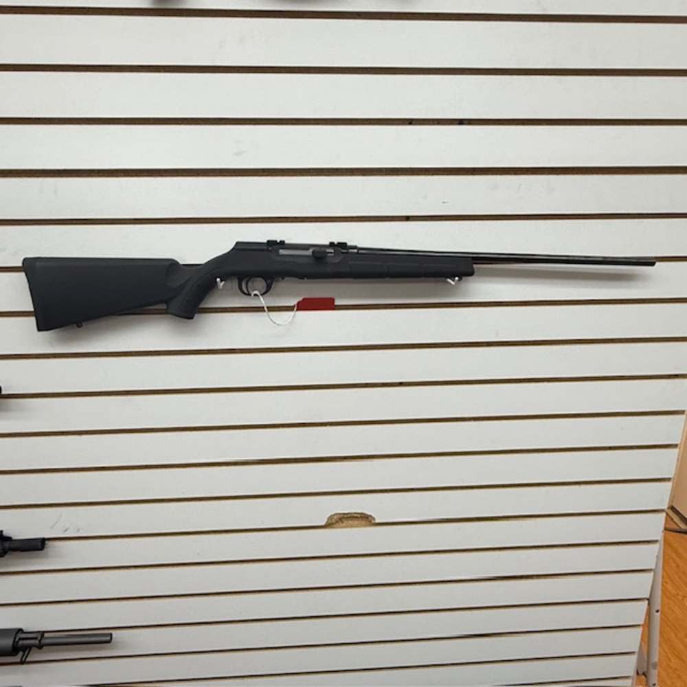 SAVAGE ARMS A17 17HMR -img-0
