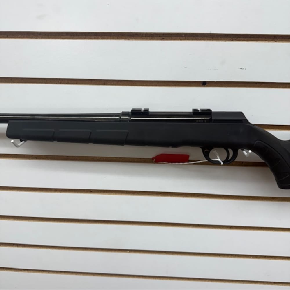 SAVAGE ARMS A17 17HMR -img-4